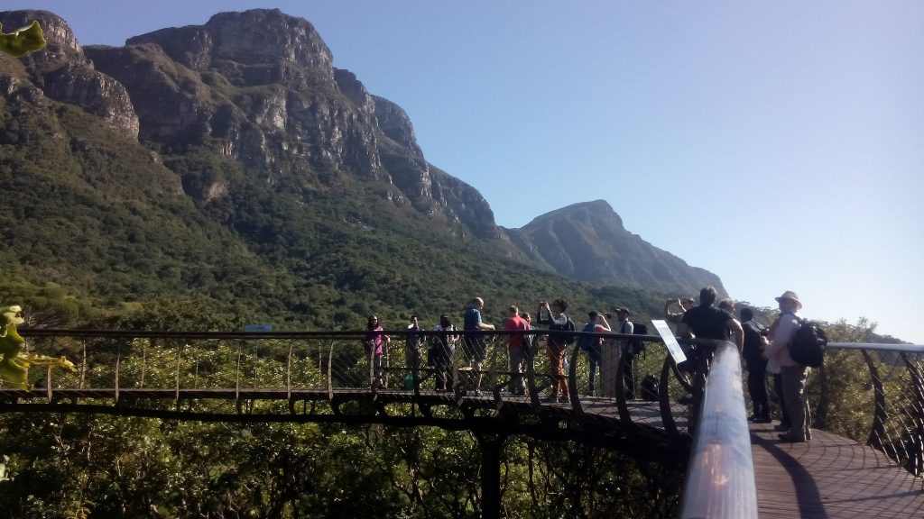 Centenary Tree Canopy Walkway