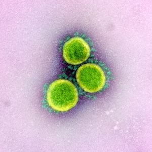 Novel Coronavirus