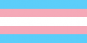 The transgender pride flag: horizontal stripes of light blue on top, pink, white in the center, pink and light blue again on the bottom.