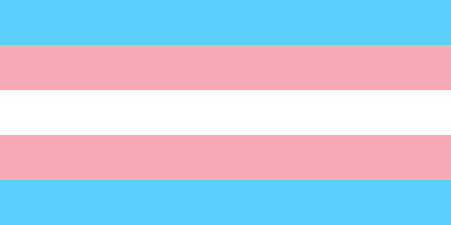 The transgender pride flag: horizontal stripes of light blue on top, pink, white in the center, pink and light blue again on the bottom.