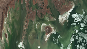 A satellite image of the Volga River delta at the Caspian Sea, showing scattered white ice floating in greenish water around patches of brownish land.
