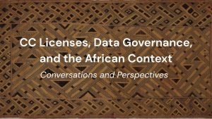 A woven women's ceremonial overskirt by a Kuba artist with the title of the blog, 