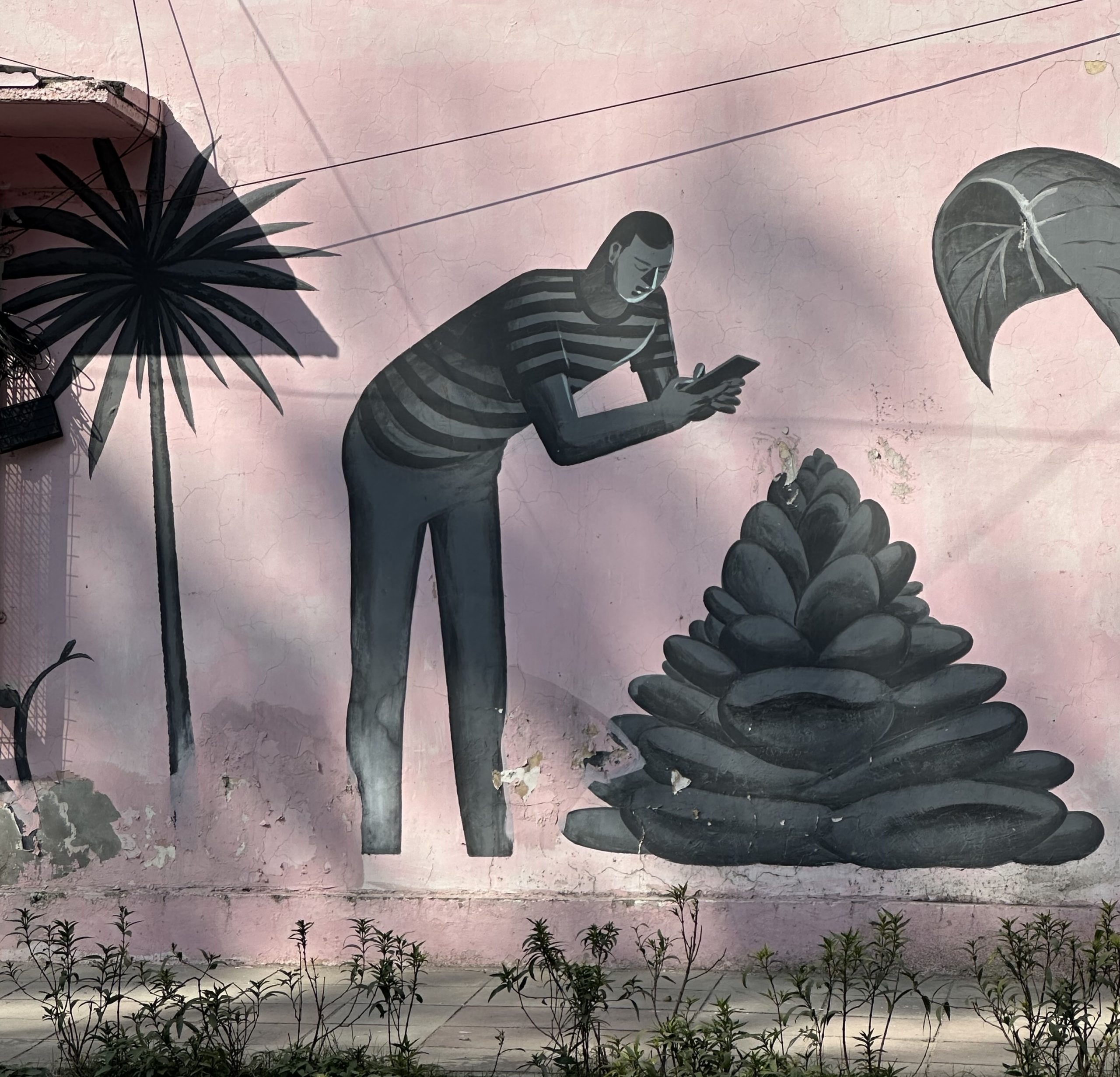 A photo of a mural in Delhi, showing a cartoon figure in a striped shirt taking a photo of a succulent with a pink background.