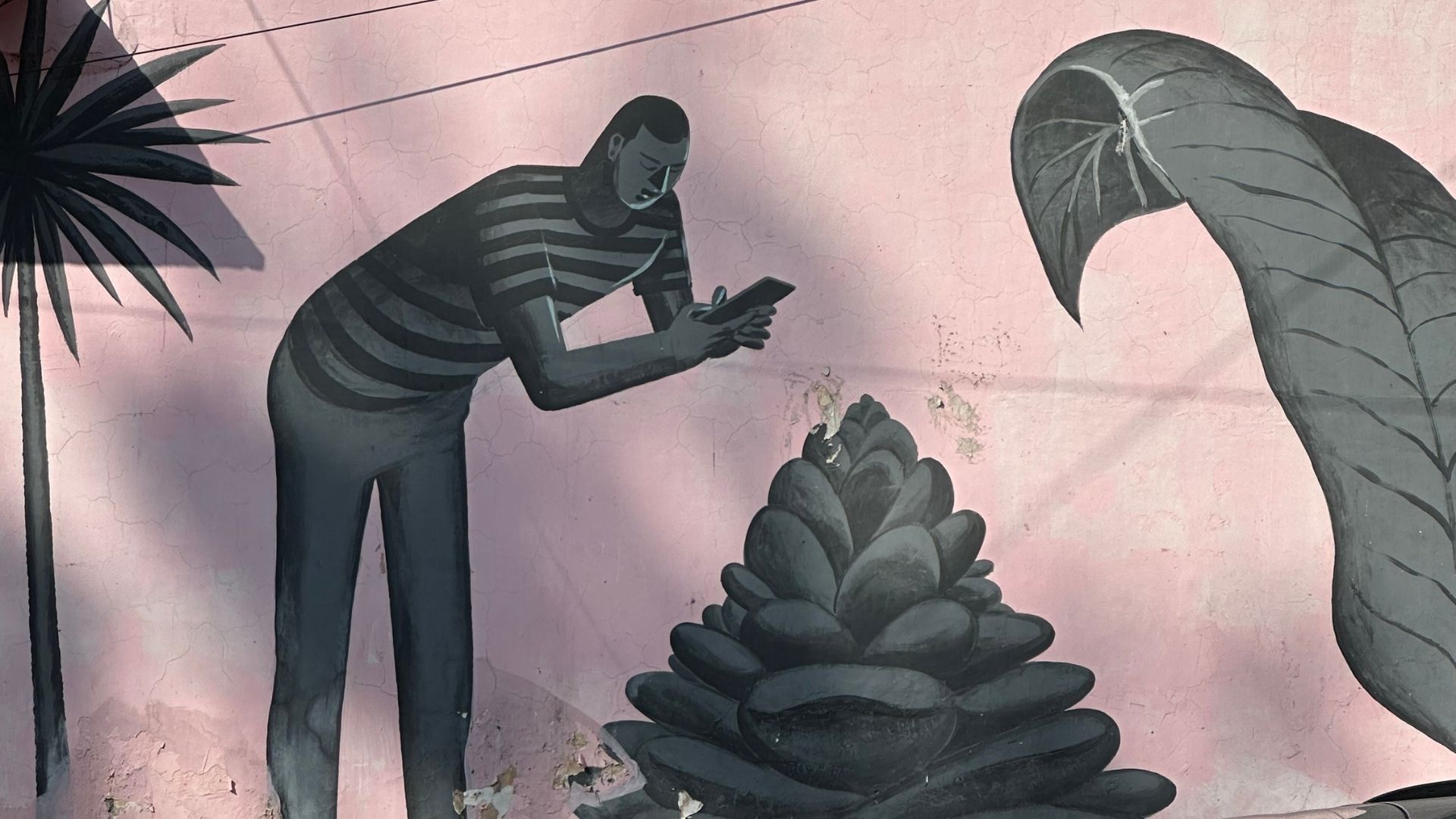 A photo of a mural in Delhi, showing a cartoon figure in a striped shirt taking a photo of a succulent.
