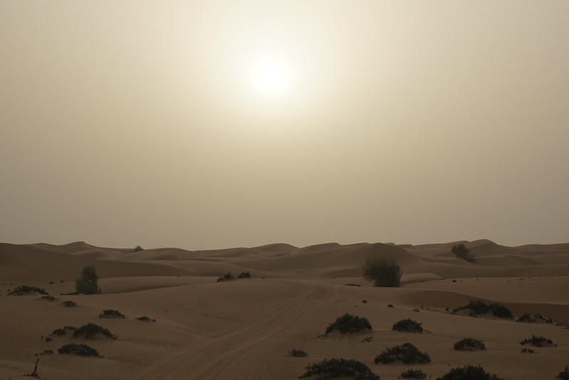 A landscape picture of a desert in Dubai