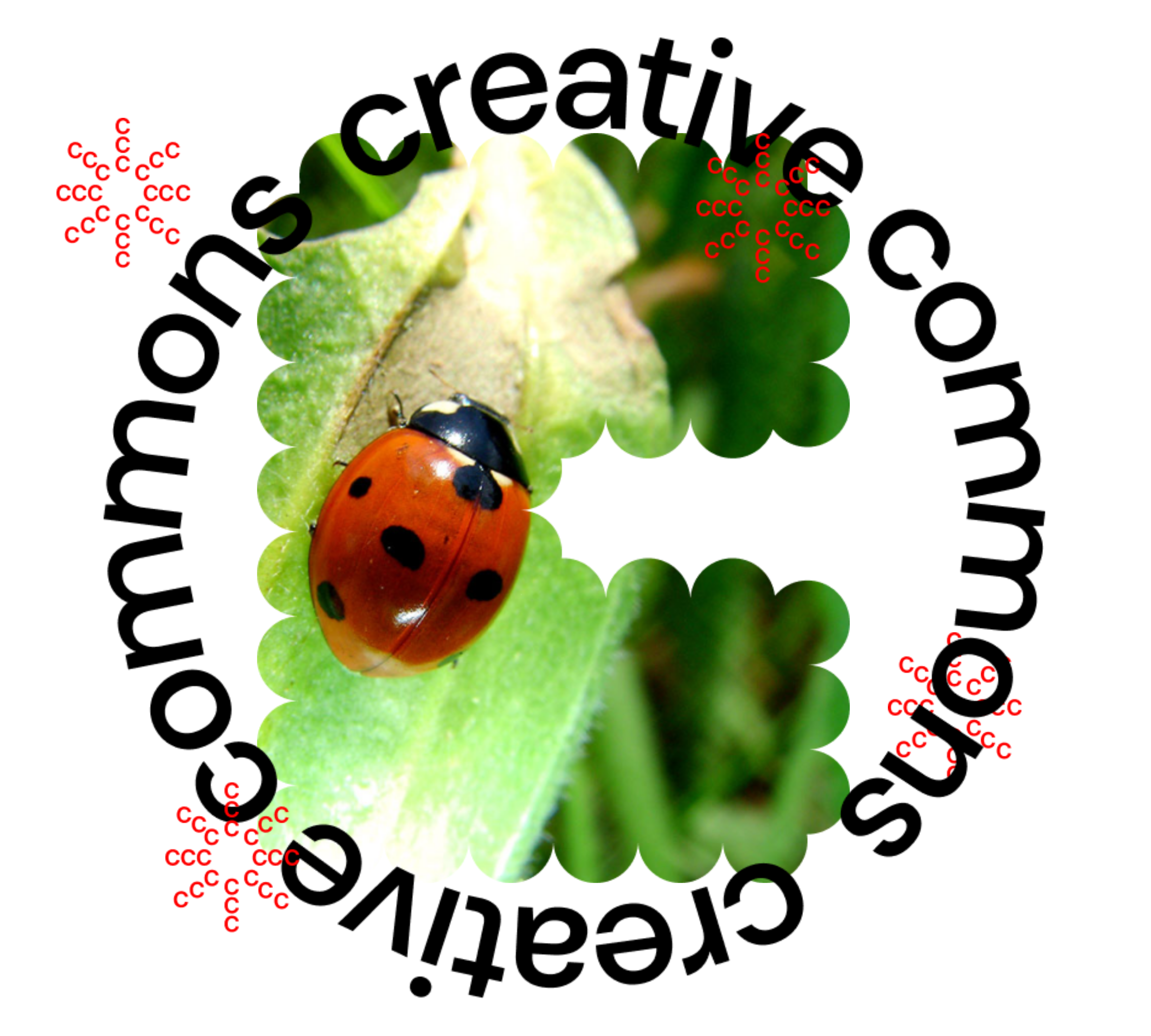 A photo of a ladybug cropped into a C shape is surrounded by the words 