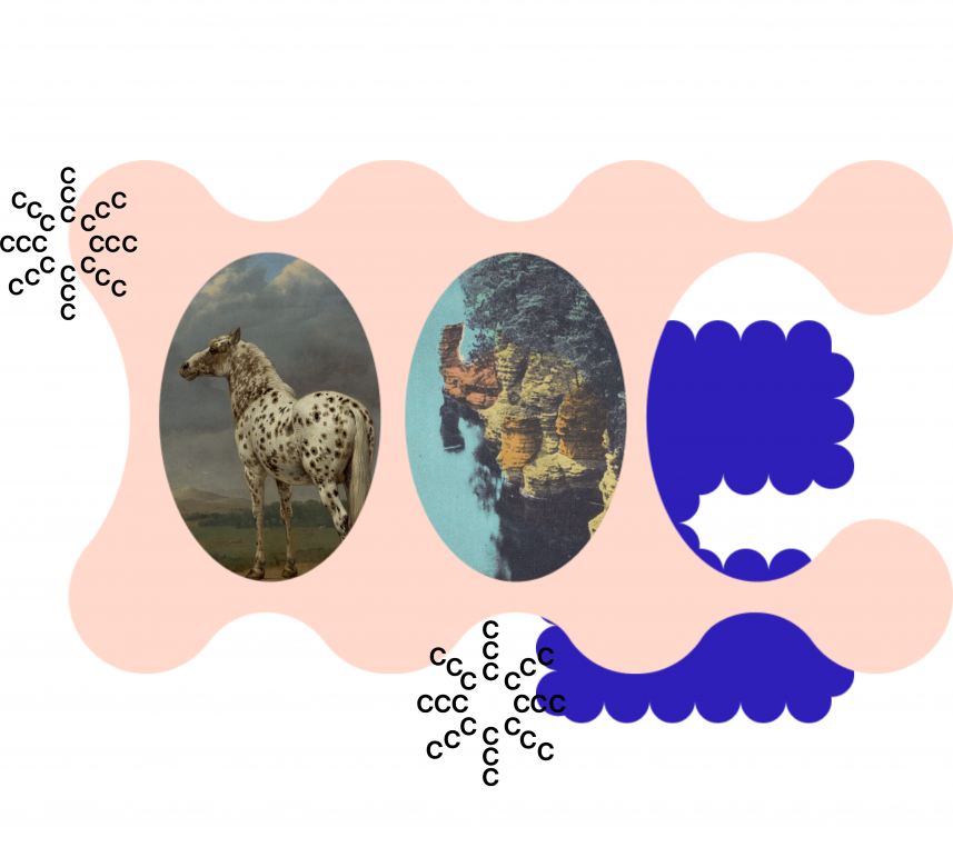 A photo of a piebald horse by Paulus Potter and an underwater photo layered with a peach-colored and dark-blue blog as part of CC's visual brand.